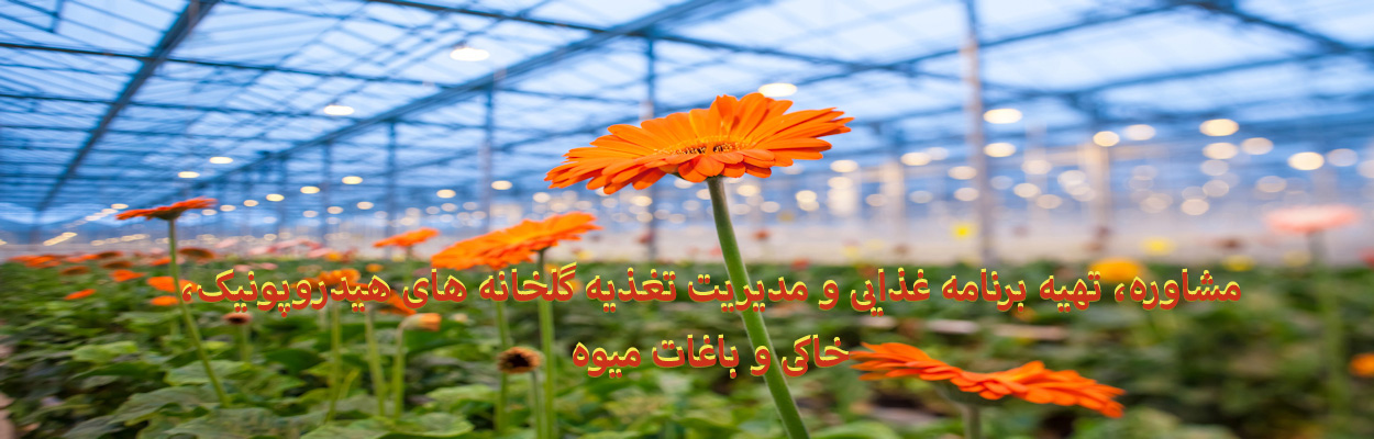 معرفی فروشگاه
