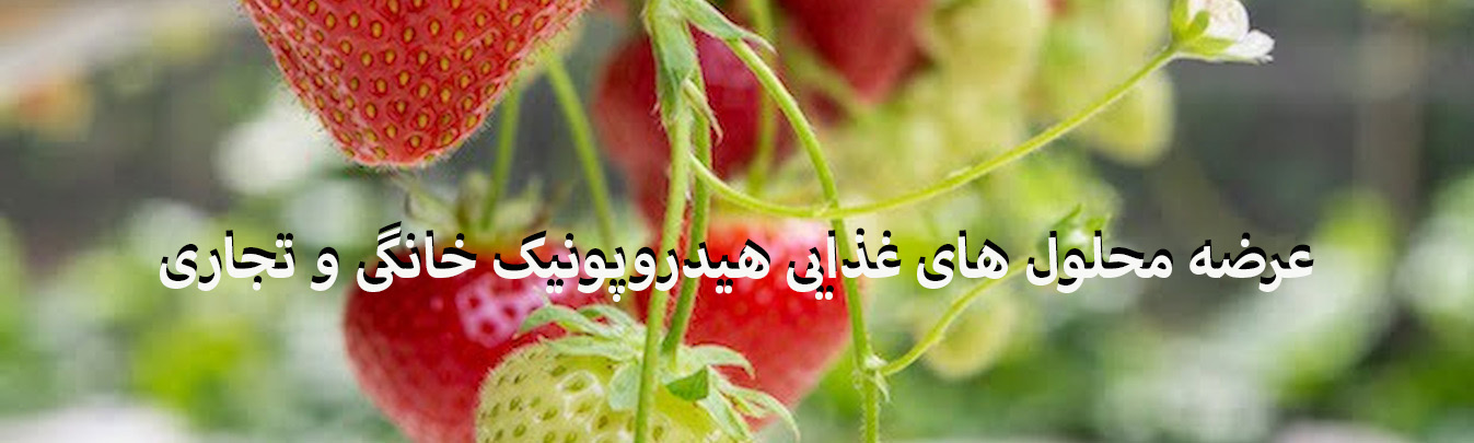 مدیریت گلخانه های هیدروپونیک
